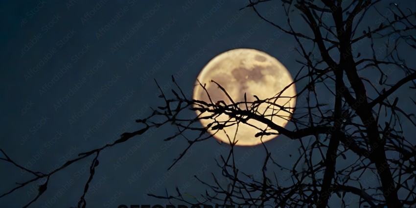 A tree with a full moon in the background