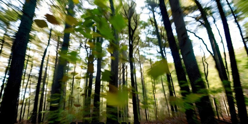 Blurry forest with yellow leaves