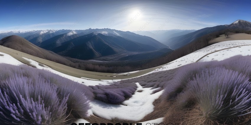 Snowy mountain range with purple flowers