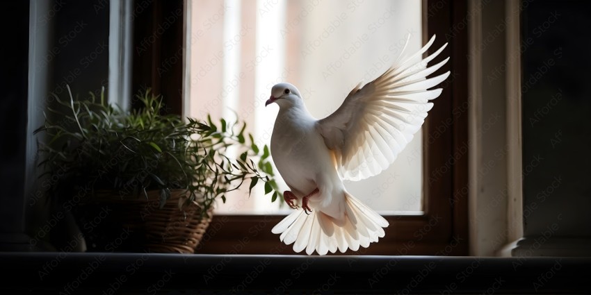 White Bird with Wings Open in Window
