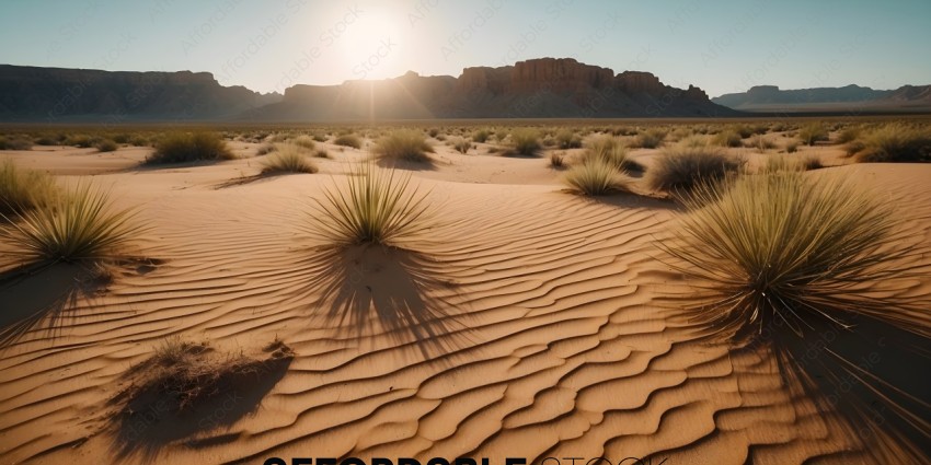 A sandy desert landscape with a sunset in the background