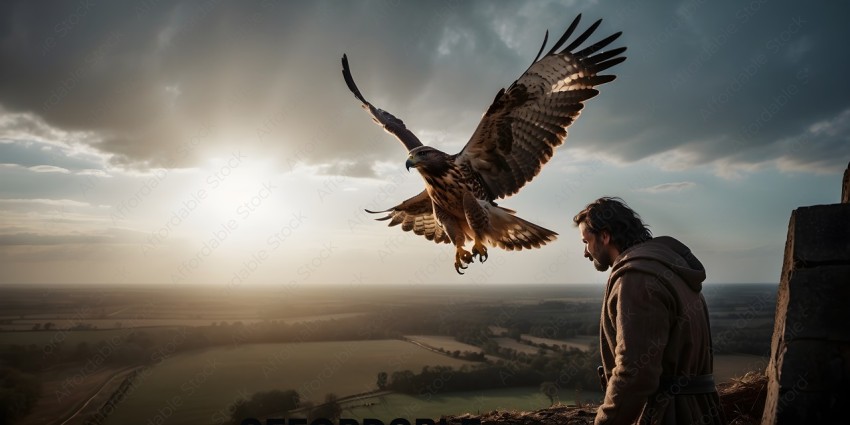 A hawk flying over a field with a man watching
