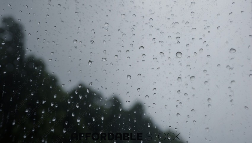 Raindrops on Glass Against Blurred Nature Background