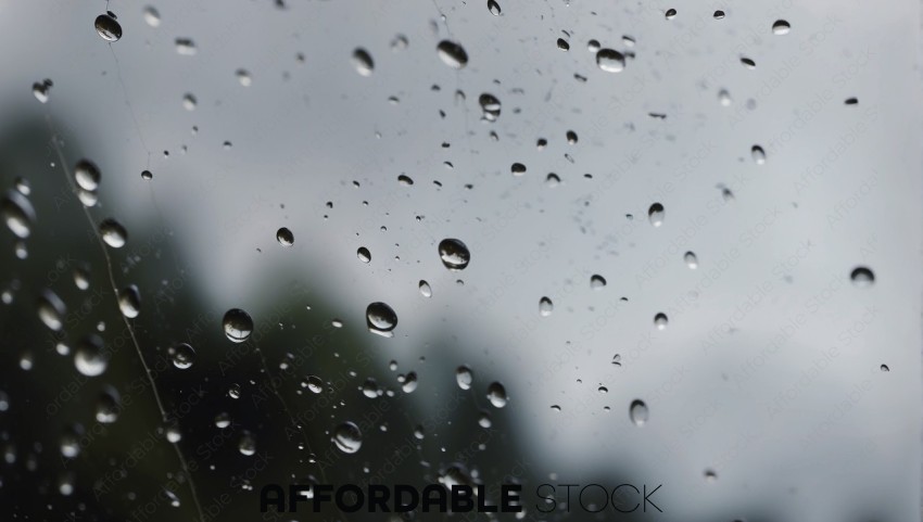 Raindrops on Glass Surface