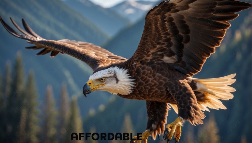 Majestic Bald Eagle in Flight over Forest
