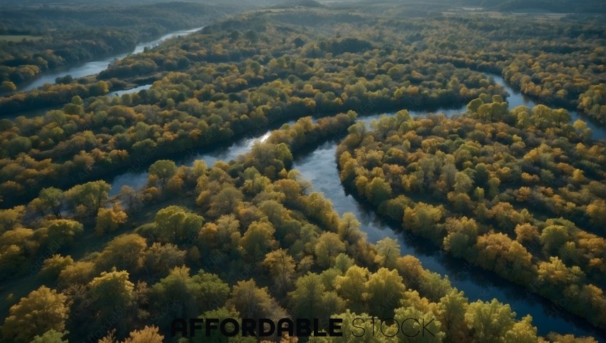 Aerial View of Autumn Forest and River