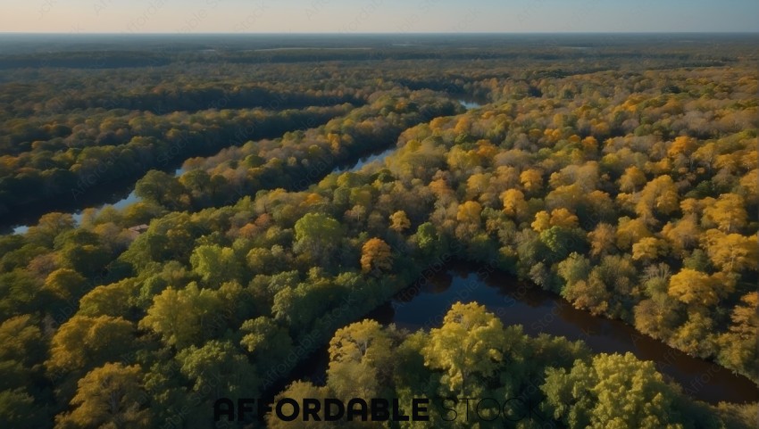 Aerial View of River Winding Through Autumn Forest