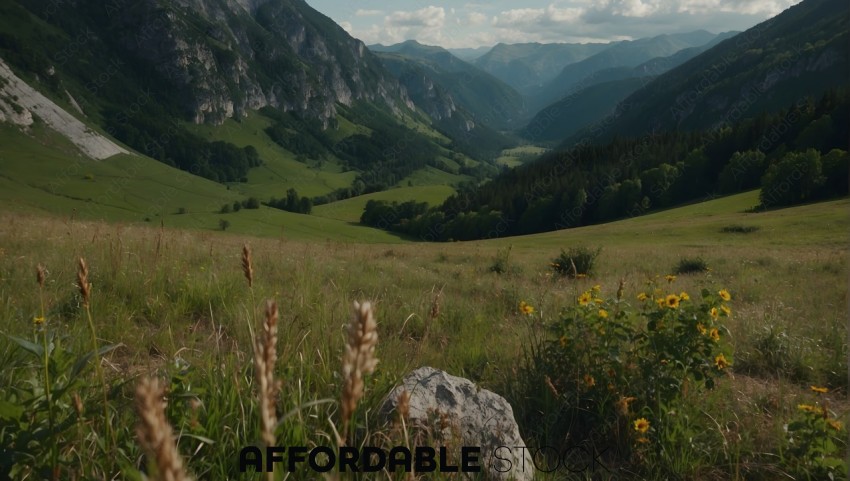 Scenic Alpine Meadow Landscape