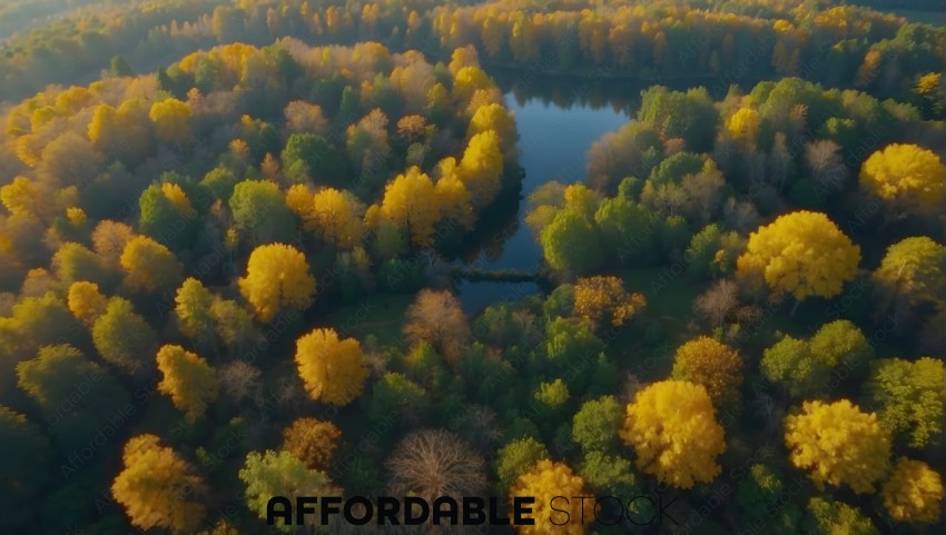 Aerial View of Autumn Forest and Lake