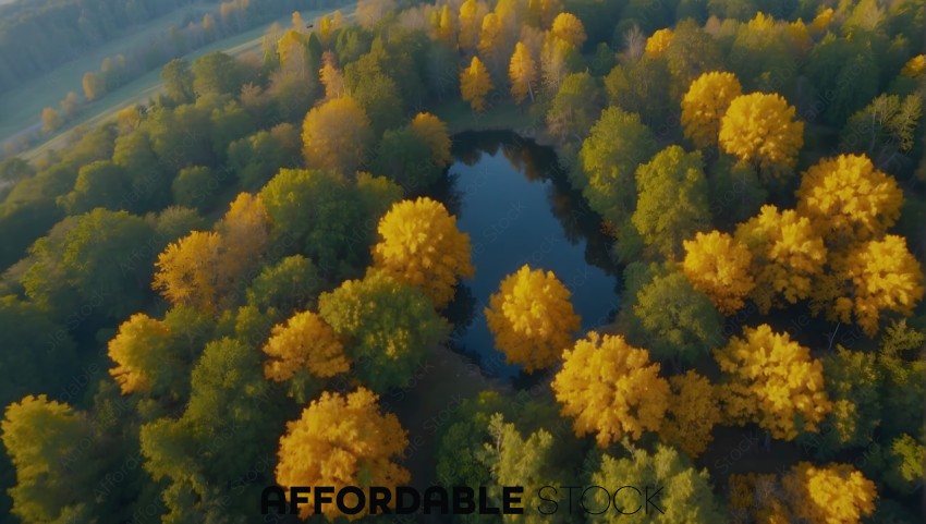 Aerial View of Autumn Forest and River