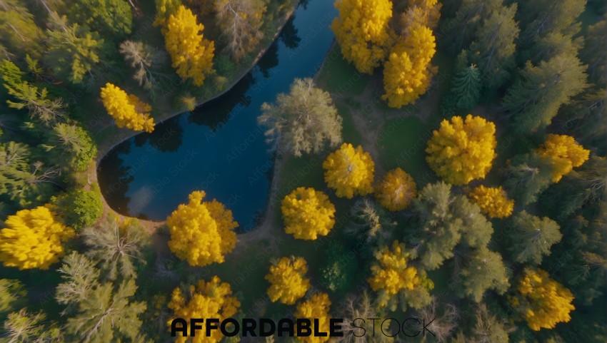 Aerial View of Autumn Forest with River