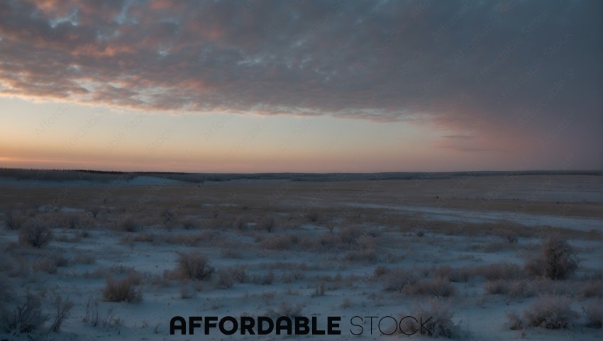 Twilight Over Snow-Covered Prairie