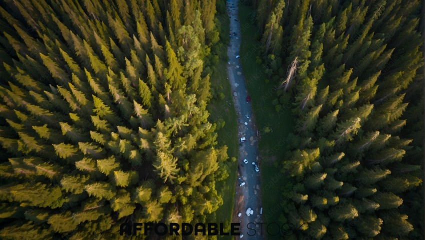 Aerial View of Campsite in Forest at Dusk