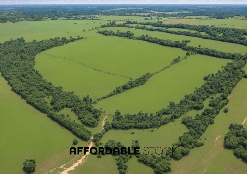 Aerial View of Green Forest and Fields