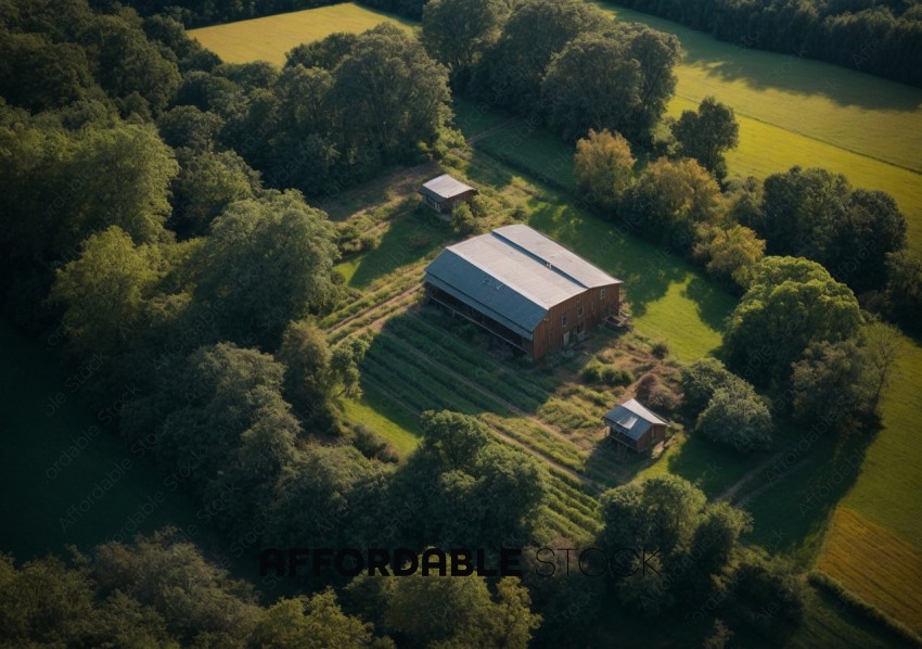 Aerial View of Rustic Farmhouse Surrounded by Greenery