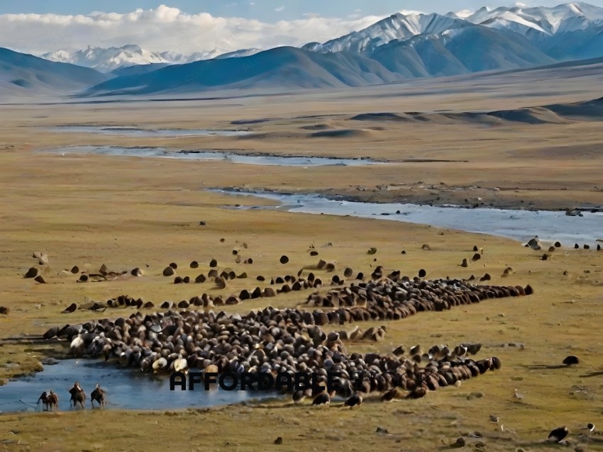 Herd of animals in a field
