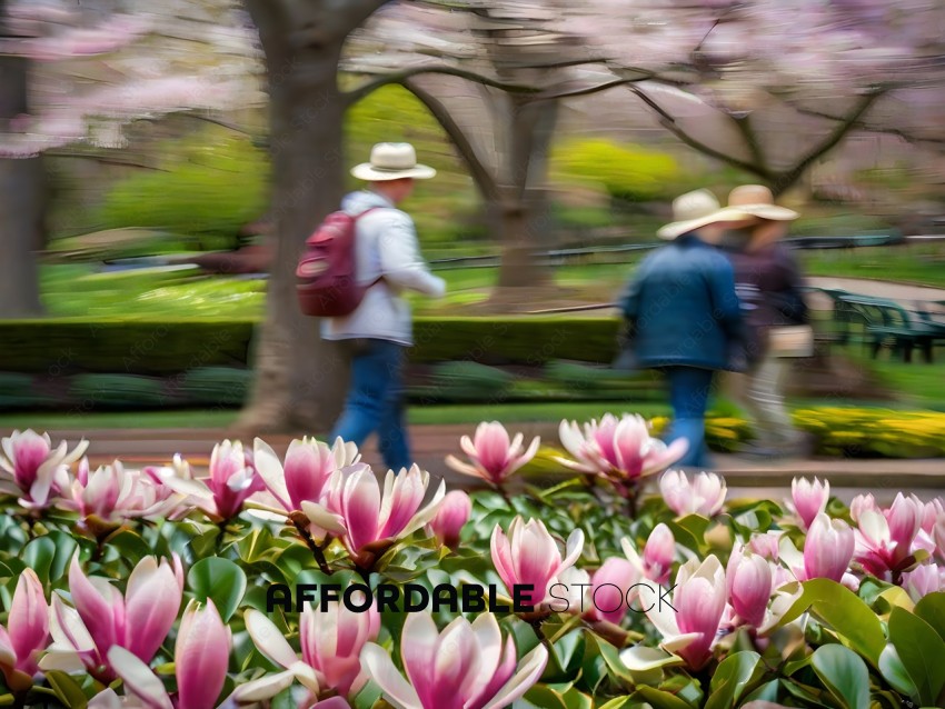 People walking through a park with pink flowers
