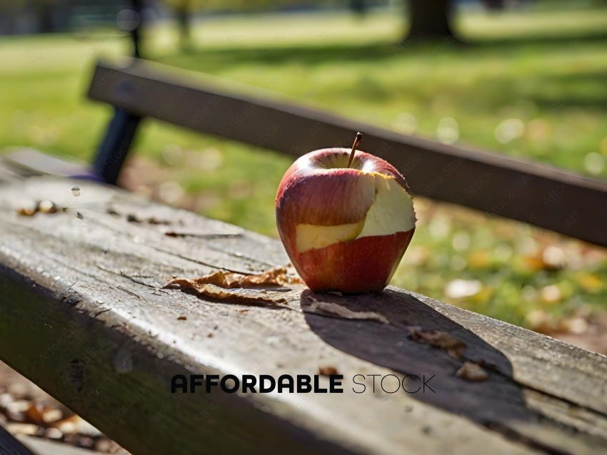 A half eaten apple on a park bench