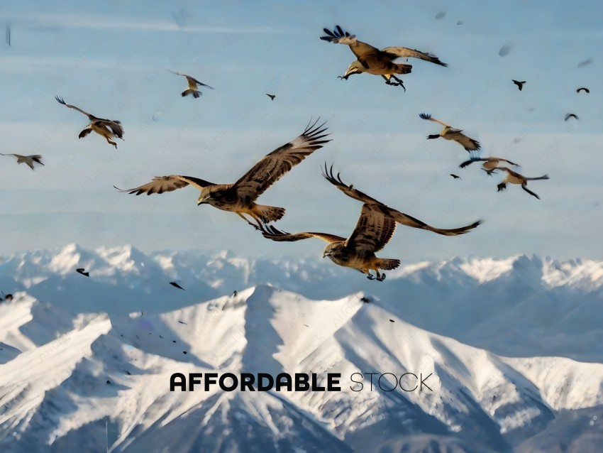 A group of birds flying over a mountain range