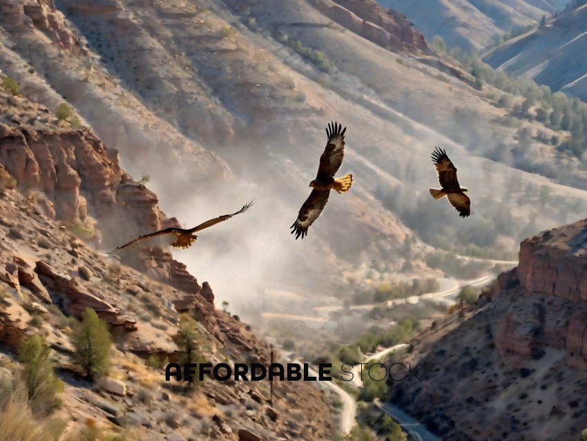 Three birds flying over a mountain