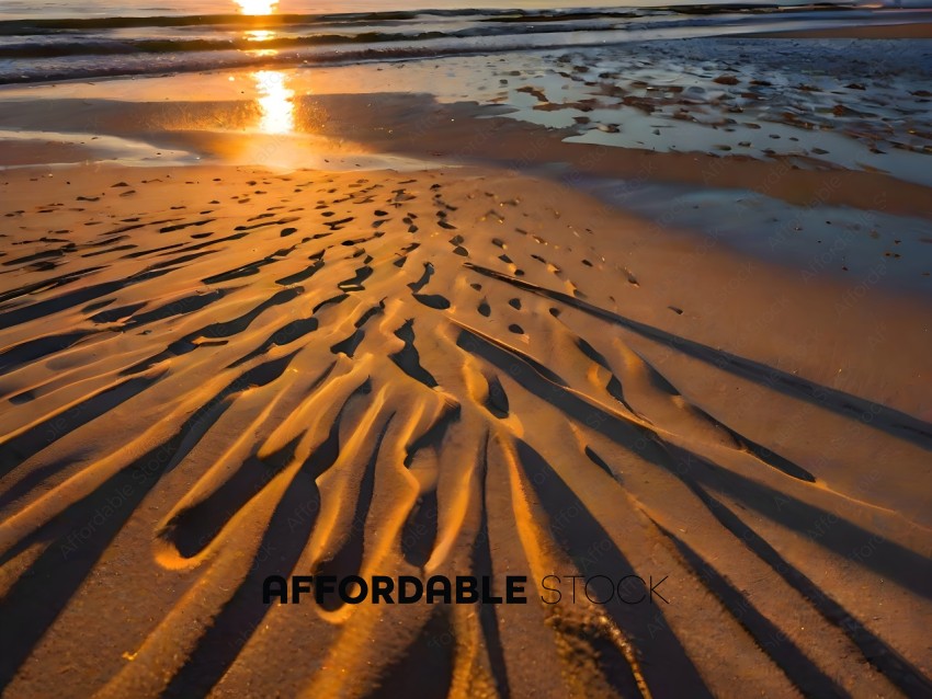 Sand Tracks at Sunset