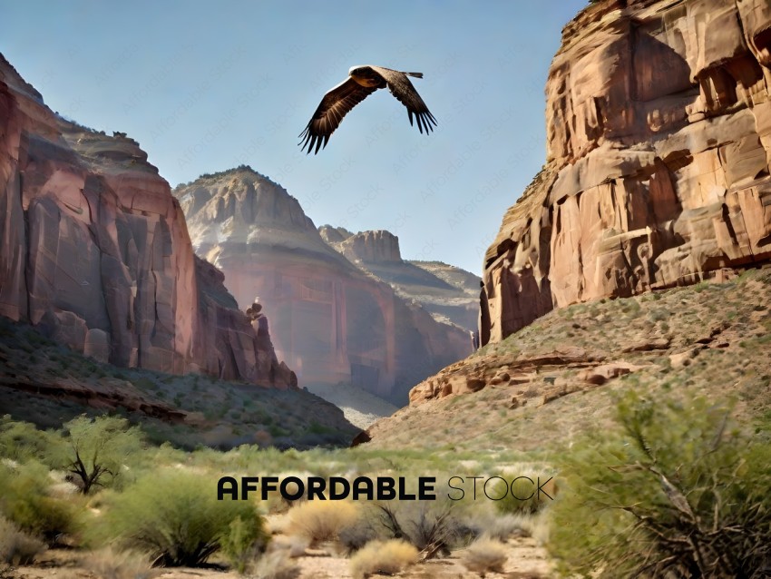 A bird flies over a rocky canyon