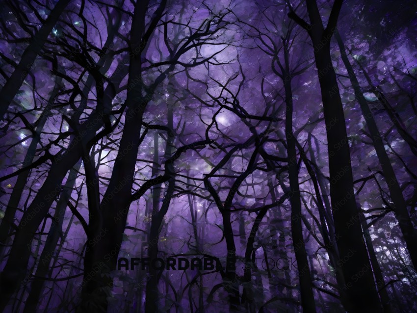 A Purple Forest at Night