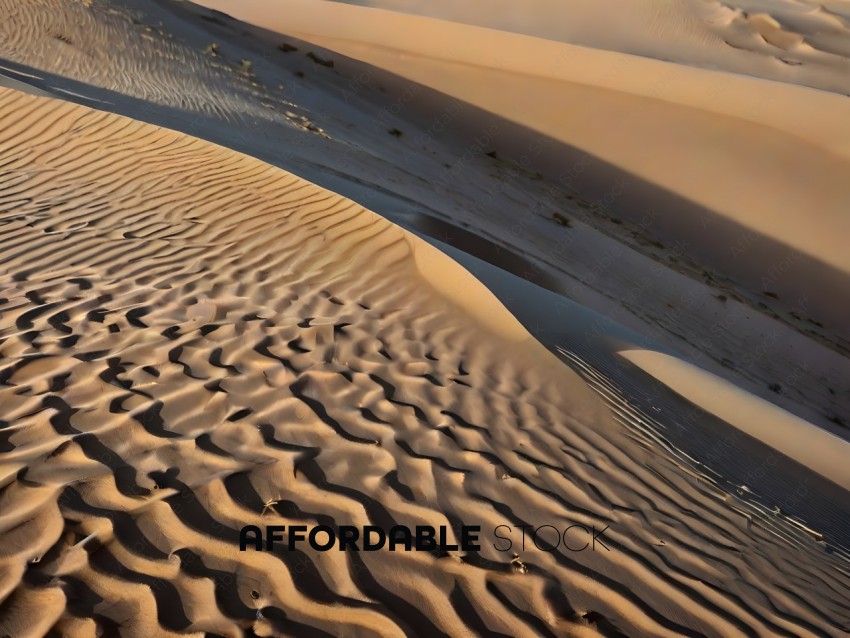 Sand Dunes with Waves