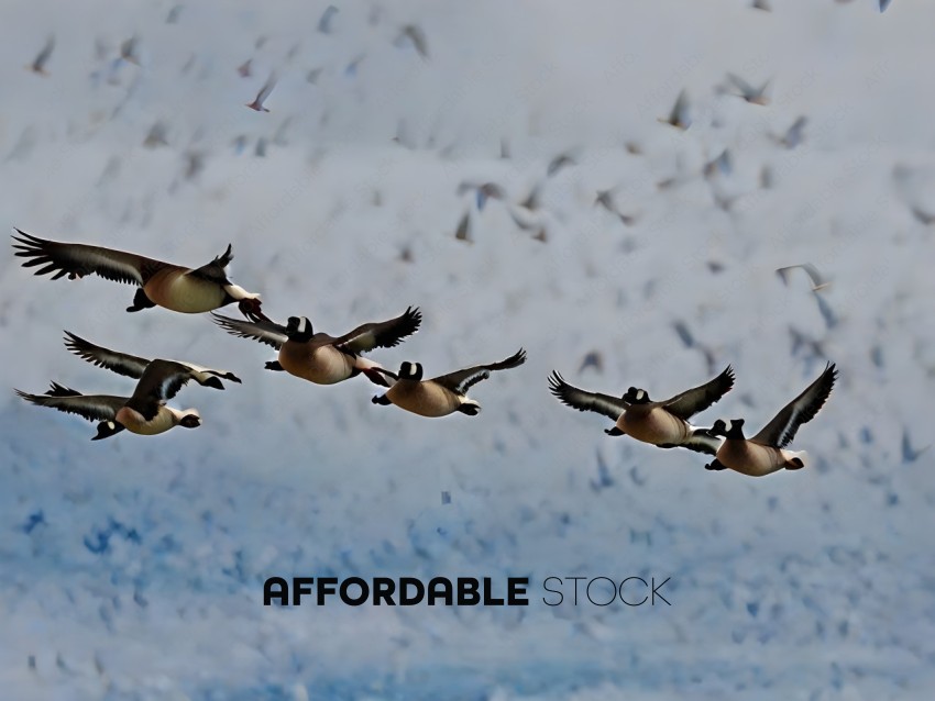 Ducks flying in a line in the sky