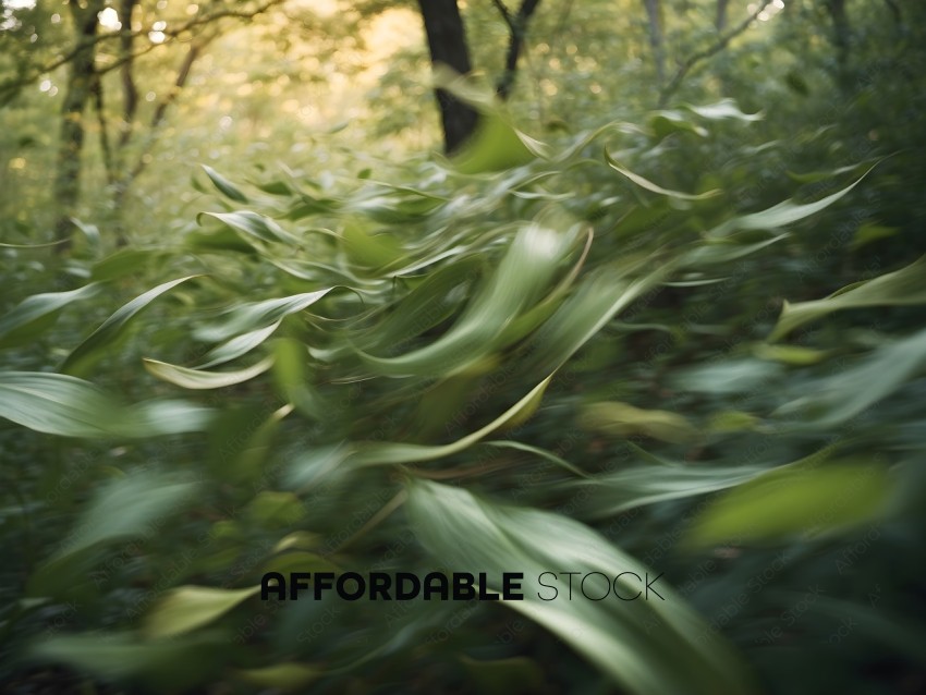 Blurry photo of green leaves in the woods