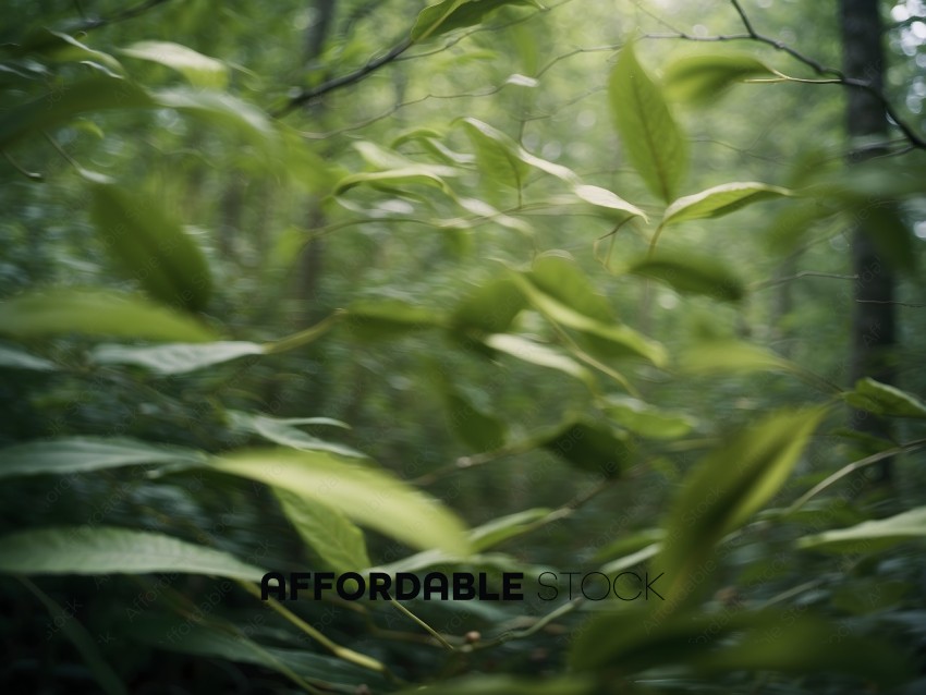 A blurry photo of a forest with green leaves