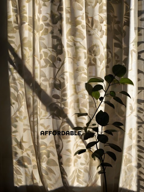 A plant in a pot with a patterned curtain in the background