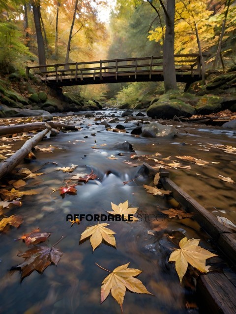 A bridge over a stream with leaves on the ground