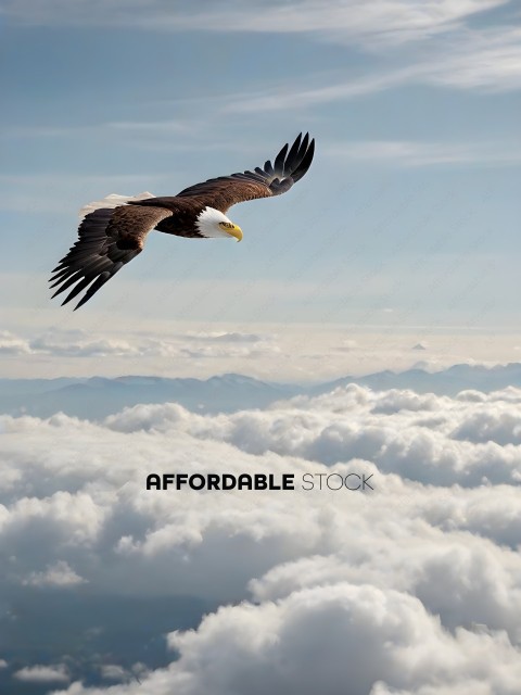 Bald Eagle Flying Over Clouds