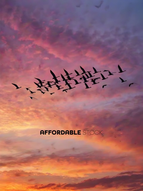 A flock of birds flying in a pink and purple sky
