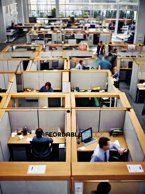 Office workers in cubicles