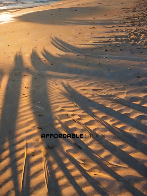 Shadows of people on the sand