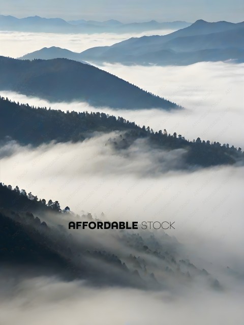 Foggy Mountains with Trees