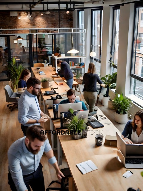 People working in an office setting with a lot of natural light