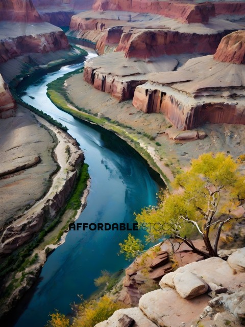 A beautiful river runs through a canyon with a tree in the foreground