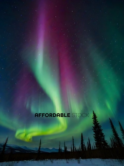 A beautiful night sky with a vibrant green and purple light show