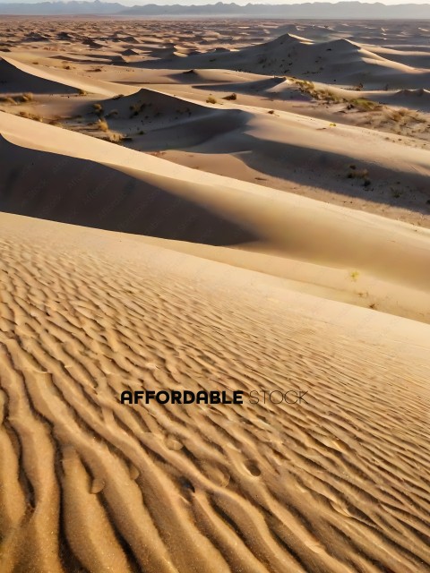 Sand Dunes with Footprints