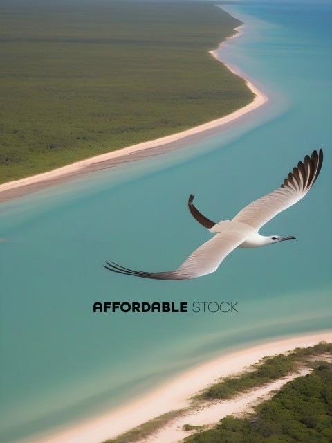 A large white bird flying over a body of water