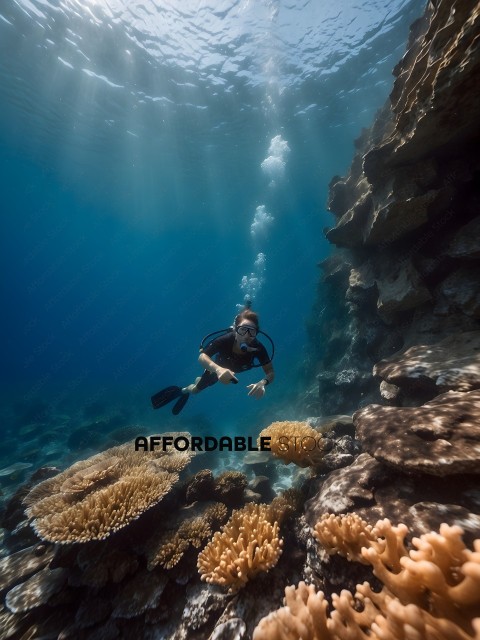 Diver swims underwater near coral reef