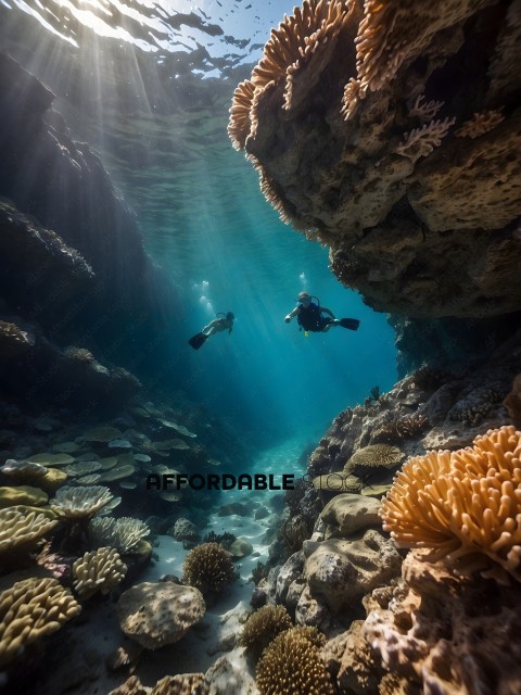 Two Divers Exploring a Coral Reef
