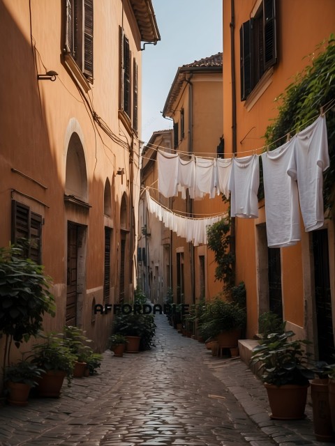 A narrow alleyway with potted plants and laundry