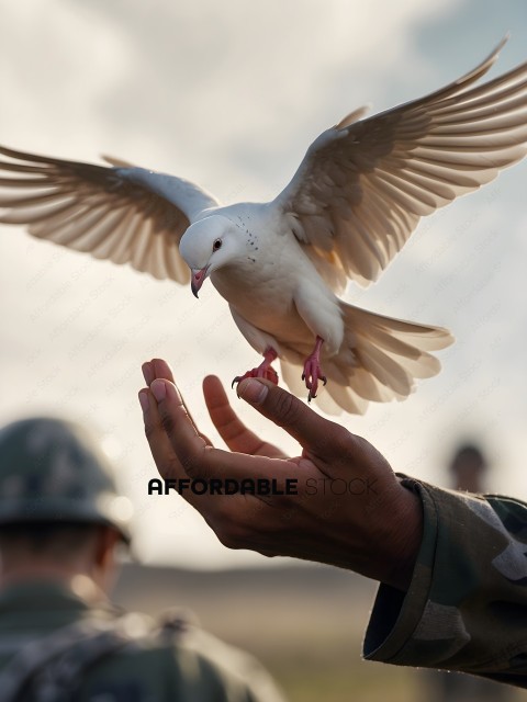 Man holding bird in hand