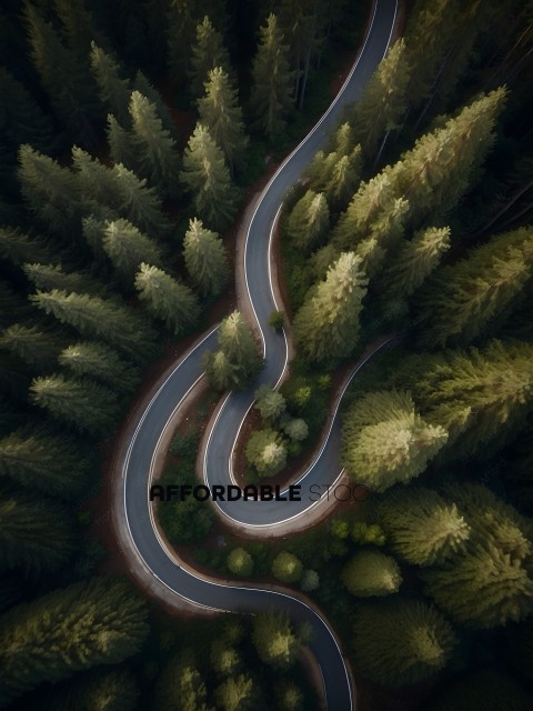 A winding road through a forest