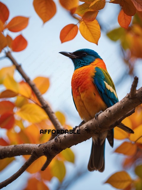 A colorful bird perched on a tree branch