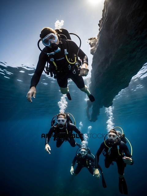 Divers in black wetsuits underwater